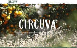 Dannel Web Design