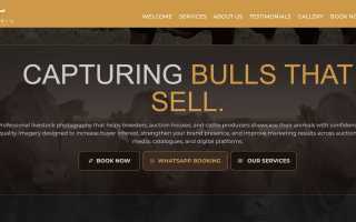 Dannel Web Design